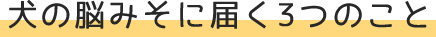 big title1