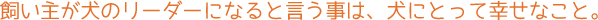 lead text1