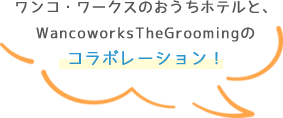 nobinobi_bb nobinobi_bb