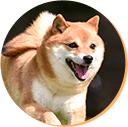 nobinobi_img nobinobi_img