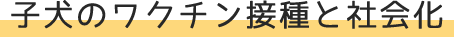 vac title1